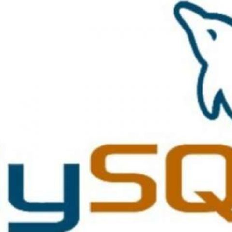 Verasoulcom Logomysql