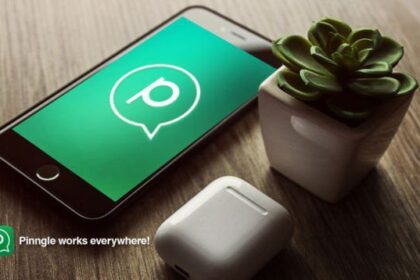 Verasoulcom Pinggle2