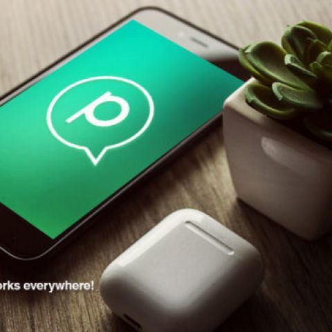 Verasoulcom Pinggle2