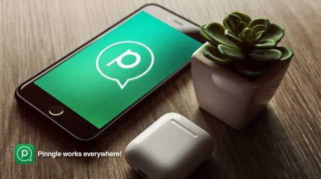 Verasoulcom Pinggle2