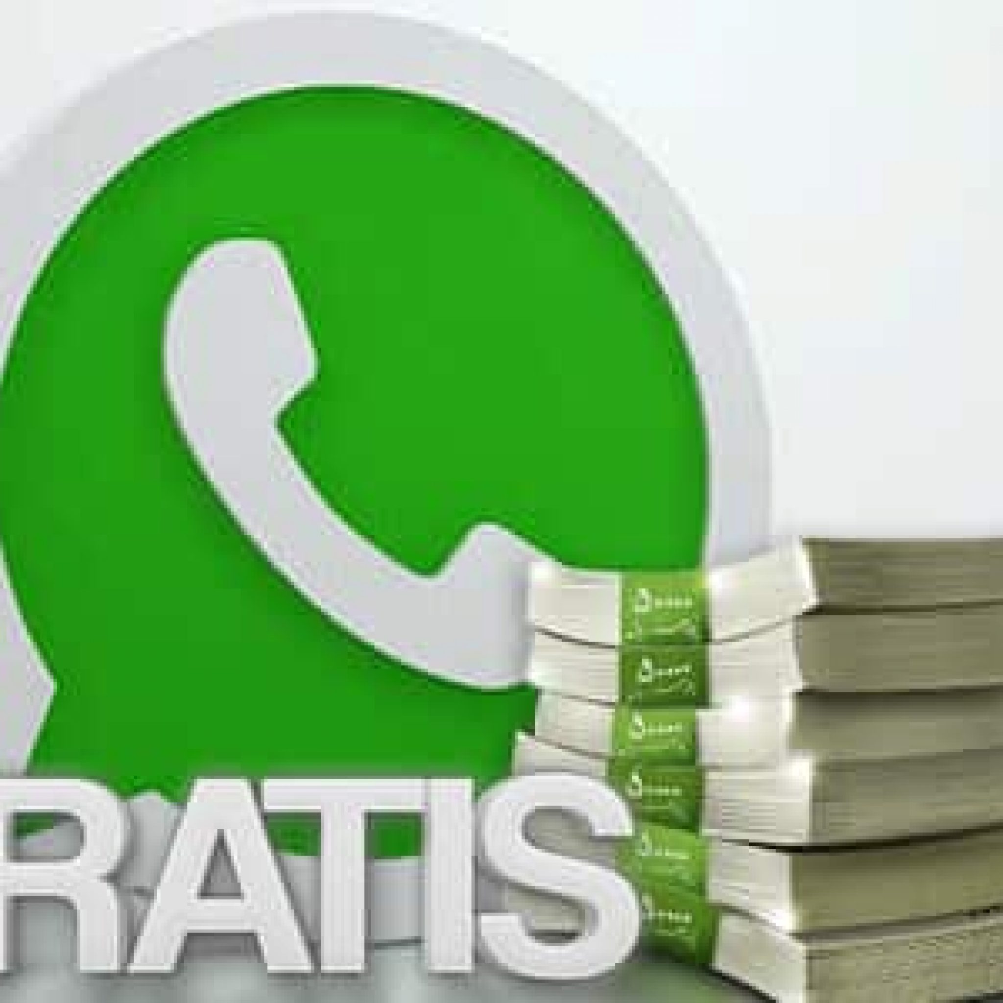 Whatsapp Business De Pago
