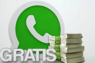 Whatsapp Business De Pago