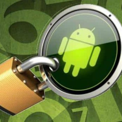 Whatsapp Privacidad