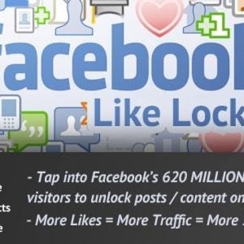 Wordpress Like Locker