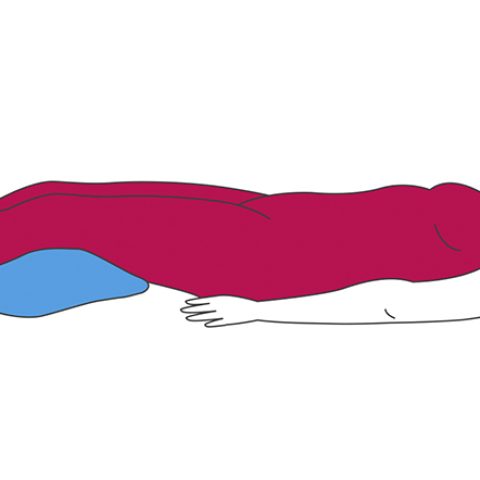 ¿por Que Crecemos Al Dormir En El Suelo