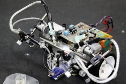 Robot insecto
