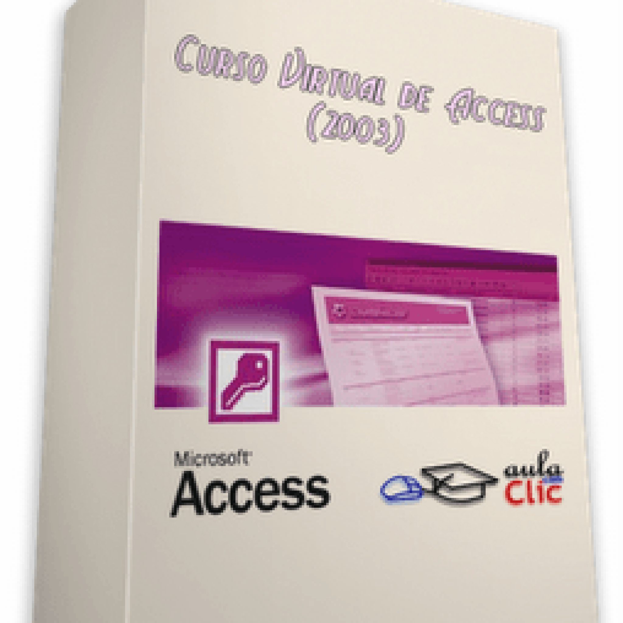 Curso Multimedia De Access 2003