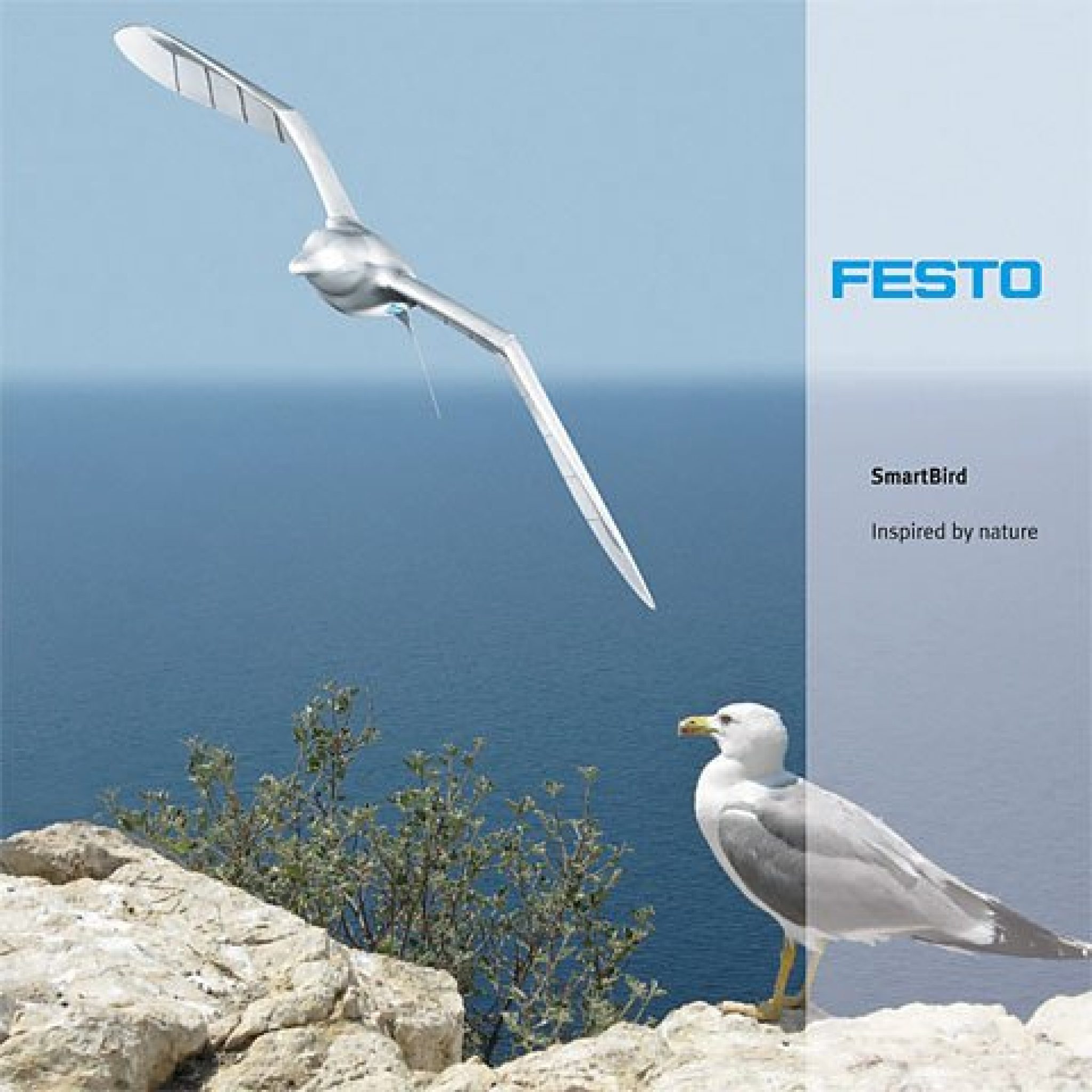 Smartbird El Pajaro Robot Que Puede Volar