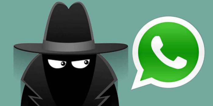 Verasoul Com Whatsapp Nos Espia
