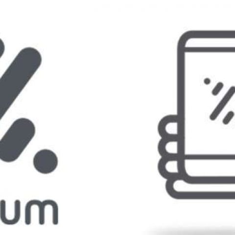 Verasoulcom Bizum