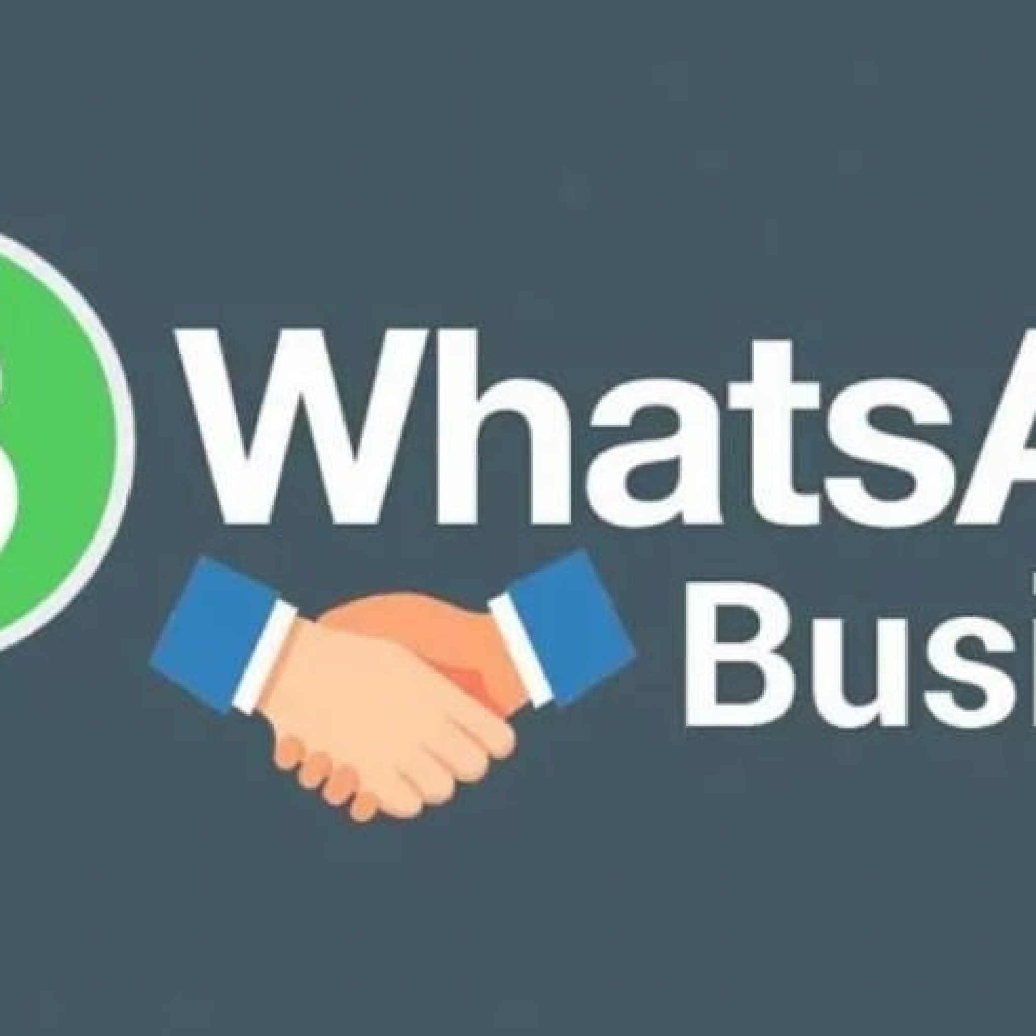 Whatsapp Negocios