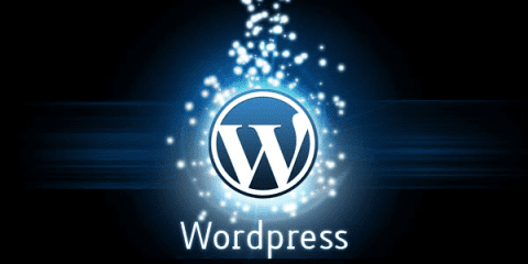 Wordpress30